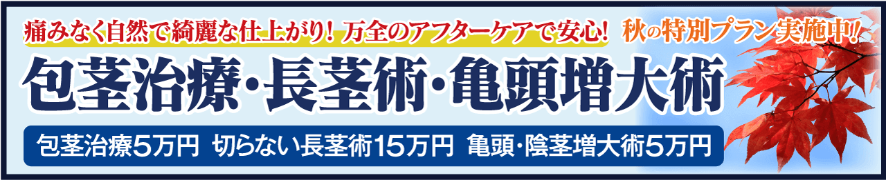 包茎手術 長茎術 亀頭増大術 メンズサポートクリニック新宿院 横浜院